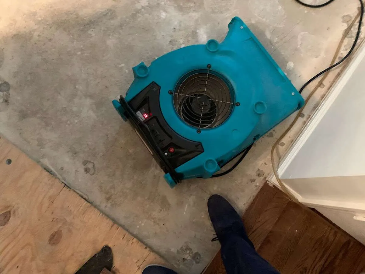 Air mover drying subfloor during Leak Detection & Repair in Olyphant